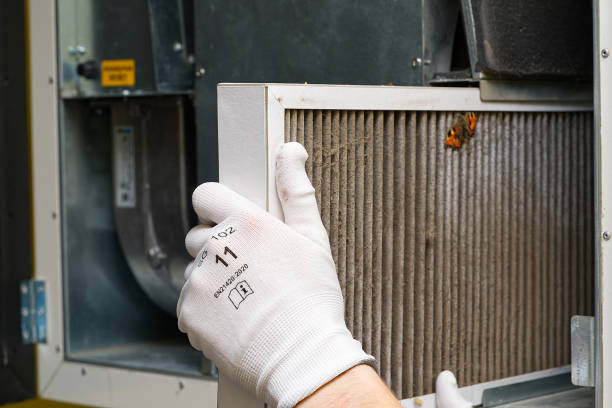 Best Air Duct Cleaning Company Near Me  in Collingdale, PA