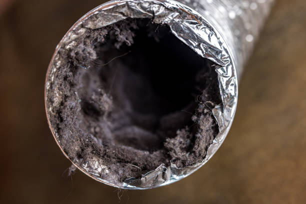 Best Air Duct Cleaning Near Me  in Collingdale, PA